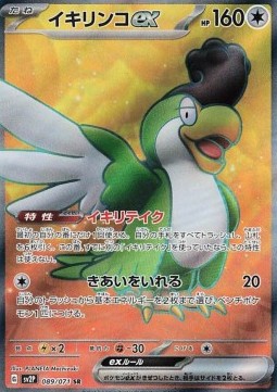 Squawkabilly ex Pokemon card from Snow Hazard