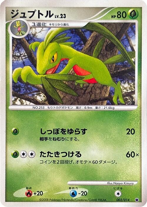 Grovyle (Japanese)