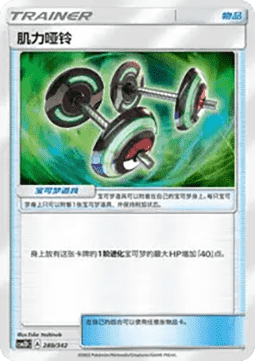 Bodybuilding Dumbbells CN