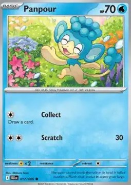 Panpour Pokemon card from Black Bolt