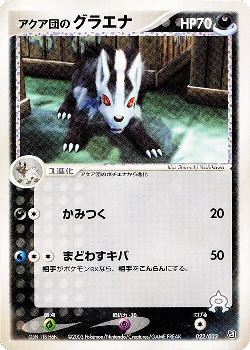 Team Aqua's Mightyena (Japanese)