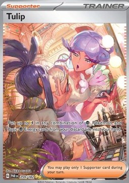 Tulip