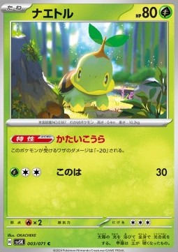 Turtwig Pokemon card from Wild Force