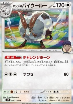 Hop's Dubwool Pokemon card from Battle Partners