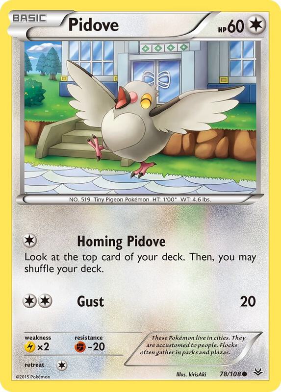 Pidove Pokemon card from XY - Roaring Skies