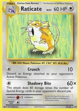 Raticate Pokemon card from Evolutions