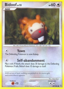 Bidoof Lv.13