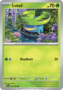 Lotad Pokemon card from Phantasmal Flames