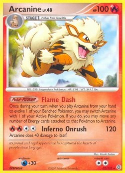 Arcanine Lv.48 (Holo) Pokemon card from Secret Wonders