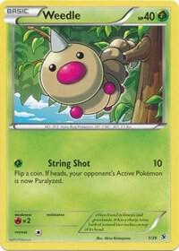 Weedle Pokemon card from Kalos Starter Set