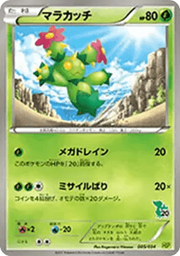 Maractus