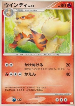 Arcanine Lv.32