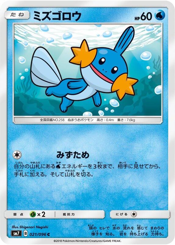 Mudkip (Japanese)