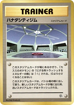 Cerulean City Gym (CGH) Hanada City Gym