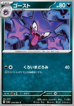 Haunter Pokemon card from Raging Surf