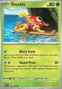 Shuckle Pokemon card from Obsidian Flames