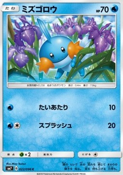 Mudkip Pokemon card from Sky Splitting Charisma