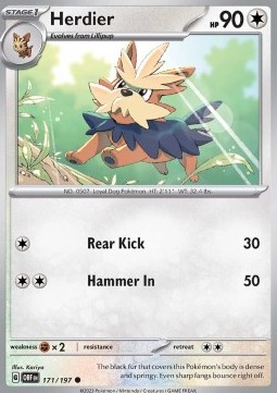 Herdier Pokemon card from Obsidian Flames