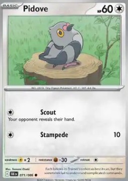 Pidove Pokemon card from Black Bolt