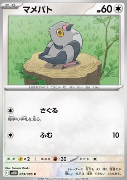 Pidove Pokemon card from Black Bolt JP