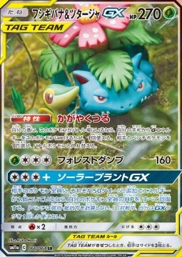Venusaur & Snivy GX