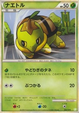 Turtwig
