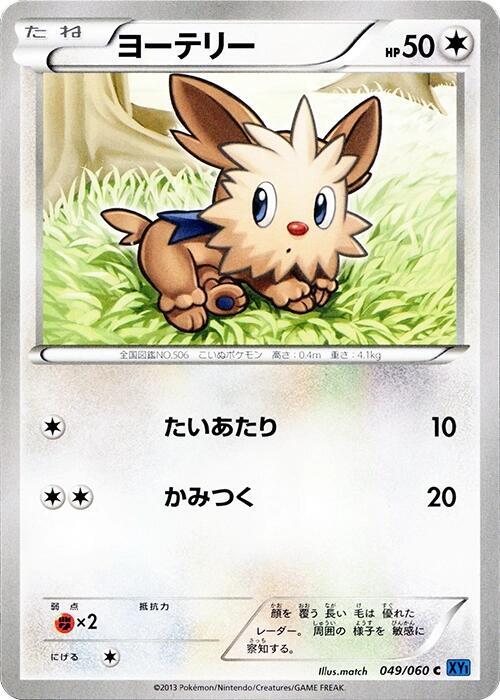 Lillipup (Japanese) Pokemon card from XY-Bx: Collection X