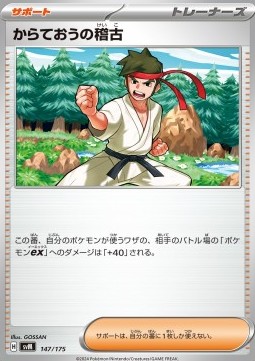 Black Belt's Training Pokemon card from Generations Start Decks