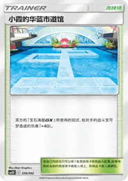 Misty's Cerulean City Gym CN