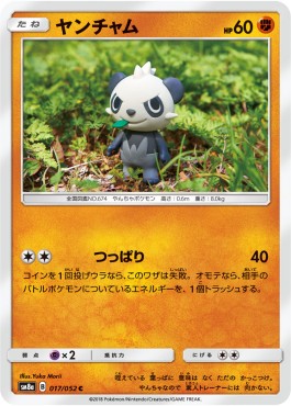 Pancham Pokemon card from Dark Order