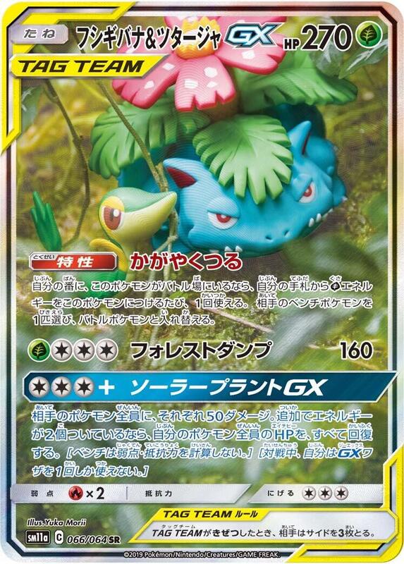 Venusaur & Snivy GX (Japanese)
