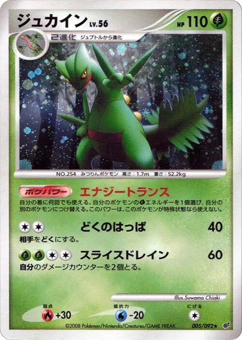 Sceptile (Japanese) Pokemon card from Intense Fight in the Destroyed Sky