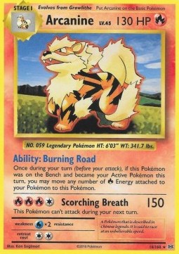 Arcanine Pokemon card from Evolutions