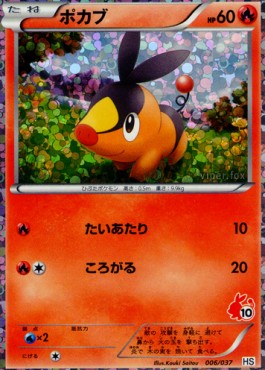 Tepig (Holo)