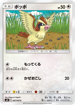 Pidgey Pokemon card from Tag Bolt
