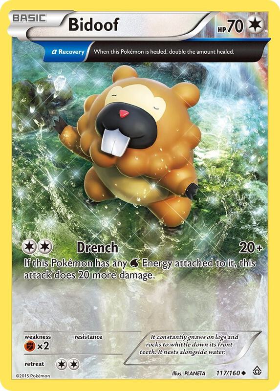 Bidoof (Alpha) Pokemon card from XY - Primal Clash