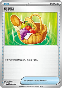Picnic Basket CN