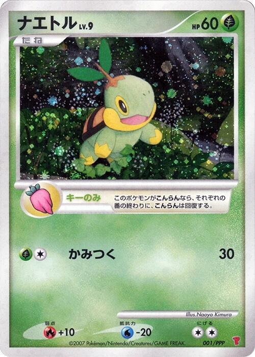Turtwig (Japanese)
