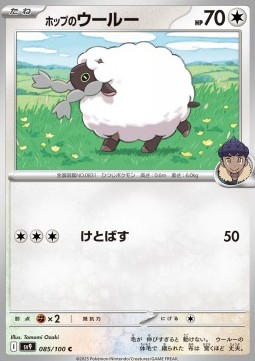 Hop's Wooloo Pokemon card from Battle Partners