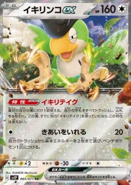 Squawkabilly ex Pokemon card from Snow Hazard