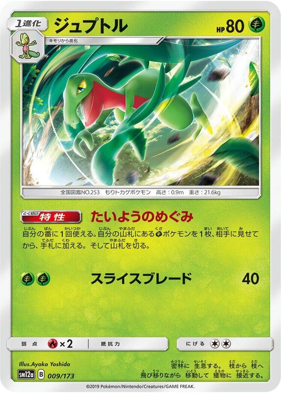 Grovyle (Japanese) Pokemon card from SM12a: TAG TEAM GX: Tag All Stars