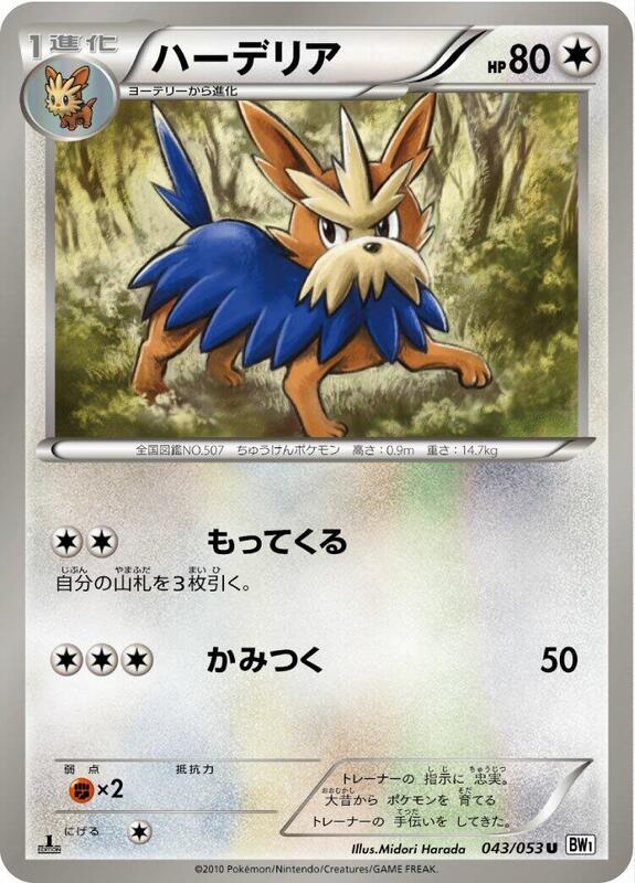 Herdier (Japanese) Pokemon card from BW1: White Collection