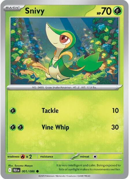 Snivy Pokemon card from SV: Black Bolt