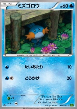 Mudkip Pokemon card from Tidal Storm