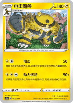 Electivire #065