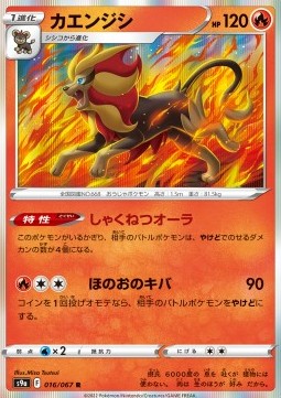 Pyroar Pokemon card from Battle Region