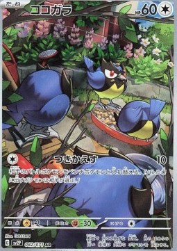 Rookidee Pokemon card from Snow Hazard