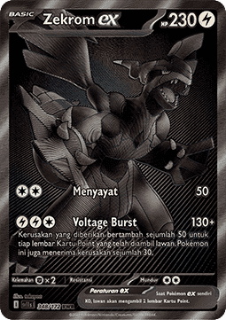 Zekrom ex