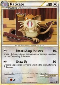 Raticate Pokemon card from Undaunted