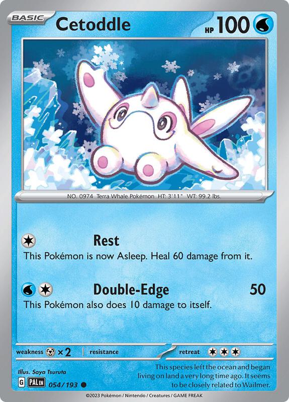 Cetoddle Pokemon card from SV02: Paldea Evolved